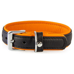 MeinTierdiscount Hundehalsband Denver aus Leder Schwarz/Braun für erwachsene Hunde – Bild 1 von 2