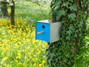 Meisenkasten Keilbach Designprodukte aus Edelstahl und Holz in Gelb und Natur – Bild 1 von 7