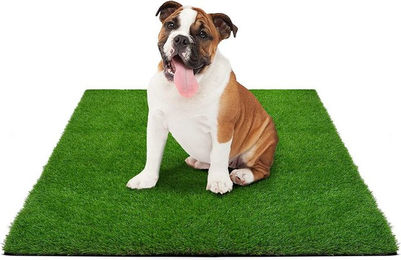 Meisterei Kubus Hundetoilette Trainingsunterlage für Welpen in Grün - 60 cm – Bild 1 von 5