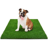 Produktbild von Meisterei Kubus Hundetoilette Trainingsunterlage für Welpen in Grün - 60 cm