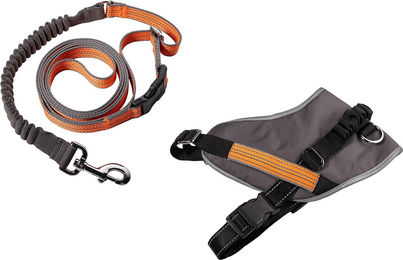 MeLiTec Hunde Jogging Set aus Polyester mit Geschirr und Leine Reflektierend Schwarz Orange Größe S – Bild 1 von 3