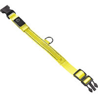 Produktbild von MeLiTec LED Hundehalsband B25 Gelb Größe S