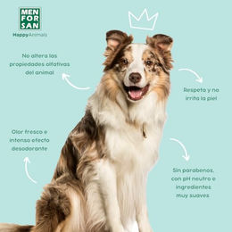 MENFORSAN Eau de Cologne für Hunde Minze Eukalyptus 125 ml vegan - 125 ml – Bild 1 von 4