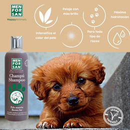 Menforsan Shampoo für braunes Hundefell Vegan 300 ml - 300 ml – Bild 1 von 6