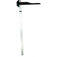 Produktbild von Messlatte Umbria Equitazione aus Aluminium in Silber