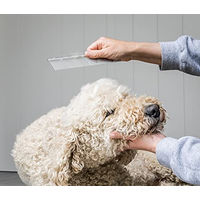 Produktbild von Mikki Edelstahlkamm für Hunde und Welpen in Blau
