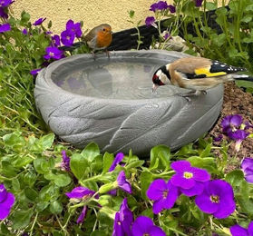 Mimaro Vogeltränke und Vogelbad aus Kunststoff in Dunkelgrau – Bild 1 von 3