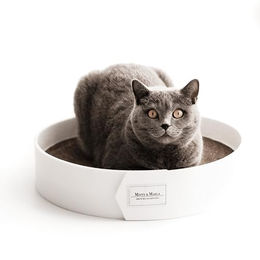 Minty&Marla Kratzbrett aus Kratzpappe mit Katzenminze in Weiß für Katzen – Bild 1 von 12