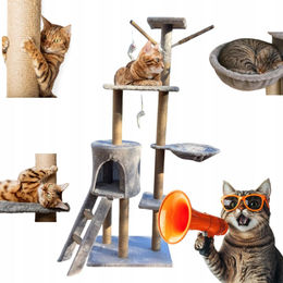 Miximi Kratzbaum für Katzen mit 5 Ebenen, Haus und Liegefläche, 141 cm – Bild 1 von 1