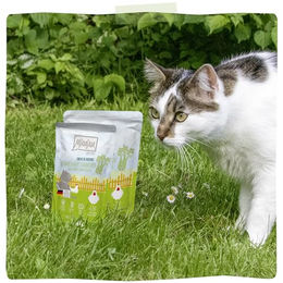 Produktbild von MjAMjAM Chicks & Friends Hühnchen mit gedünstetem Sellerie Quetschie Creme Getreidefrei Hoher Fleischanteil 12 x 125g - 12 x 125 g