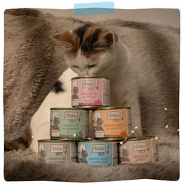 Produktbild von MjAMjAM Premium Katzen Nassfutter Ente und Lachs Stückchen in Soße getreidefrei 6 x 185 g - 6 x 185 g