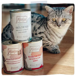 Produktbild von MjAMjAM Premium Katzen Nassfutter Huhn mit Kürbis Stückchen in Sauce getreidefrei Monoprotein 6 x 800g - 6 x 800 g