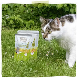 MjAMjAM Premium Katzen Nassfutter Huhn mit Zucchini Stückchen in Sauce getreidefrei hoher Fleischanteil 6 x 200g - 6 x 200 g – Bild 1 von 2