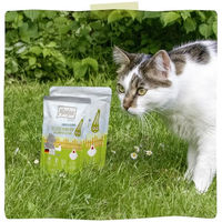 Produktbild von MjAMjAM Premium Katzen Nassfutter Huhn mit Zucchini Stückchen in Sauce getreidefrei hoher Fleischanteil 6 x 200g - 6 x 200 g
