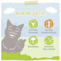 Produktbild von MjAMjAM Premium Katzen Nassfutter Quetschie Ente und Pute mit Kürbis getreidefrei 12er Pack 12 x 125g - 12 x 125 g