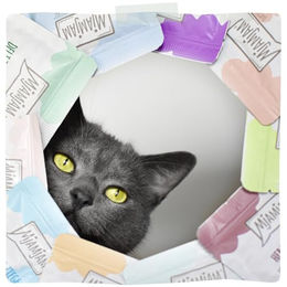 MjAMjAM Premium Nassfutter für Katzen Adult Duo Kalb und Hering Getreidefrei Monoprotein 6 x 200g Dose - 200 g – Bild 1 von 3