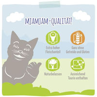 Produktbild von MjAMjAM Premium Nassfutter für Katzen Forelle mit Huhn getreidefrei und monoprotein 6x800g - 6 x 800 g