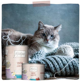 Produktbild von MjAMjAM Premium Nassfutter für Katzen Senior Rind getreidefrei mit hohem Fleischanteil 6x800g - 6 x 800 g