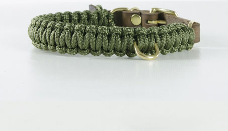 Molly & Cody Hundehalsband aus Leder Gold/Grün Military Waterproof Größe XL – Bild 1 von 1