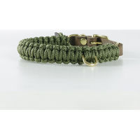 Produktbild von Molly & Cody Hundehalsband aus Leder Gold/Grün Military Waterproof Größe XL