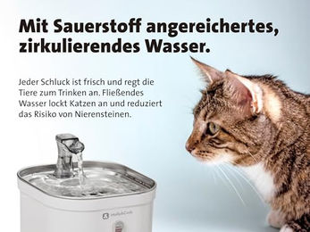 Molly&Cody Spring Trinkbrunnen für Katzen und Hunde aus Edelstahl mit 2L Kapazität und 3-fachem Filtersystem - 2 l – Bild 1 von 7