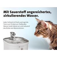 Produktbild von Molly&Cody Spring Trinkbrunnen für Katzen und Hunde aus Edelstahl mit 2L Kapazität und 3-fachem Filtersystem - 2 l