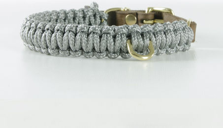 Molly & Stitch Hundehalsband Touch of Leather aus Leder in Gold/Grau Größe S – Bild 1 von 1