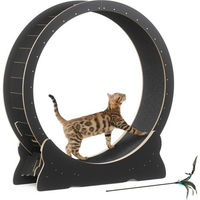 Produktbild von Mondeer Katzenlaufrad Intelligenzspielzeug aus Holz mit 100cm Innendurchmesser in Schwarz