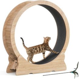 Mondeer Katzenlaufrad Intelligenzspielzeug aus Holz mit 100cm Innendurchmesser in Schwarz – Bild 1 von 5