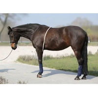 Produktbild von Monge Longierseil Beige für das Longe Reiten