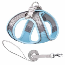 Monkimau Halsband und Leine Set aus Mesh und Nylon für Hunde und Katzen Blau-Grau XS - 150 cm – Bild 1 von 2