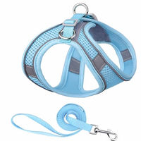 Produktbild von Monkimau Halsband und Leine Set aus Mesh und Nylon in Blau Grösse S