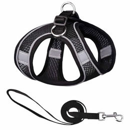 Monkimau Halsband und Leine Set aus Mesh und Nylon in Schwarz Größe L – Bild 1 von 3