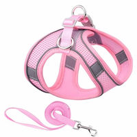 Produktbild von Monkimau Halsband und Leine Set für Hunde und Katzen aus Mesh und Nylon in Pink, Größe L - 150 cm