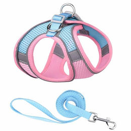 Monkimau Halsband und Leine Set für kleine Haustiere aus Mesh und Nylon in Pink-Blau Größe XS – Bild 1 von 2