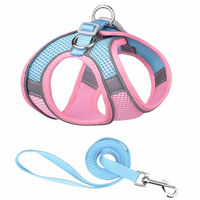Produktbild von Monkimau Halsband und Leine Set für kleine Haustiere aus Mesh und Nylon in Pink-Blau Größe XS