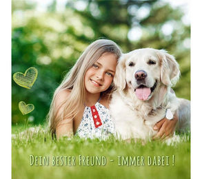 Produktbild von Monkimau Hundegeschirr mit Leine für Hunde und Katzen XS Orange Robust