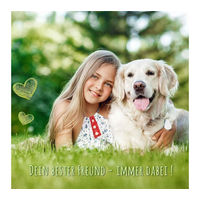 Produktbild von Monkimau Hundegeschirr mit Leine für Hunde und Katzen XS Orange Robust