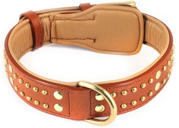 Monkimau Hundehalsband aus Leder mit Nieten gepolstert und verstellbar XS Braun Silber – Bild 1 von 12