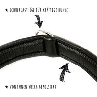 Produktbild von Monkimau Hundehalsband aus Leder weich gepolstert Grau XS - 1 Stk.