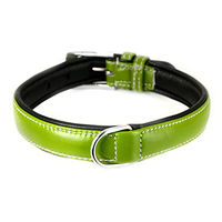 Produktbild von Monkimau Hundehalsband aus Leder weich gepolstert grün XS - 1 Stk.