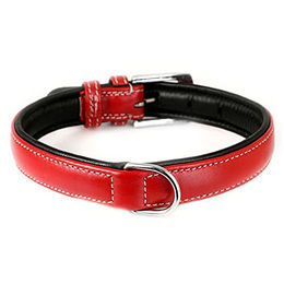Monkimau Hundehalsband aus Leder weich gepolstert rot XS-S - 1 Stk. – Bild 1 von 6