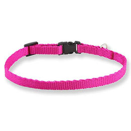 Monkimau Hundehalsband für kleine Hunde und Welpen aus Nylon in Pink wasserabweisend Größe S - 1 Stk. – Bild 1 von 6