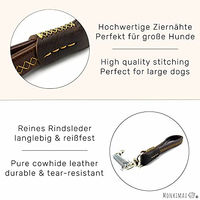 Produktbild von Monkimau Hundeleine aus Leder mit Ruckdämpfer für große Hunde in Schwarz und Braun