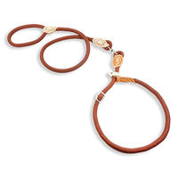 Produktbild von Monkimau Hundeleine und Halsband Set mit Zugstopp für große Hunde aus Nylon in Braun - 150 cm