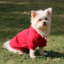 Monkimau Hundepullover Hoodie aus Fleece für Hunde in Hellblau XS – Bild 1 von 2