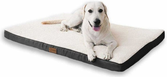 Monkimau Orthopädisches Hundebett für große Hunde aus Oxford-Gewebe XL Grau Beige – Bild 1 von 5