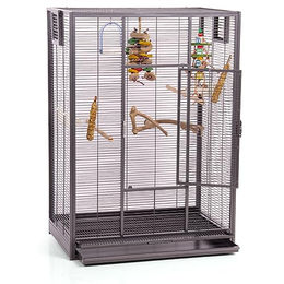 Montana Cages Premium Vogelvoliere New Melbourne I Vogelkäfig für Sittiche und kleine Papageien Antik Edition 80 x 50 x 110 cm – Bild 1 von 11