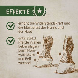 Montanus nature Biotin-Konzentrat Pulver zur Haut-Fell- und Hufpflege 1 kg - 1 kg – Bild 1 von 2