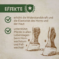 Produktbild von Montanus nature Biotin-Konzentrat Pulver zur Haut-Fell- und Hufpflege 1 kg - 1 kg